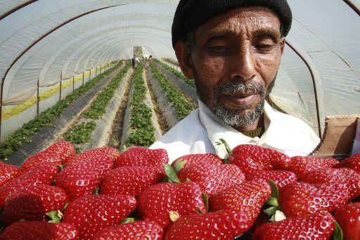 "In Italia e in Europa priorità sono lavoro e immigrazione"